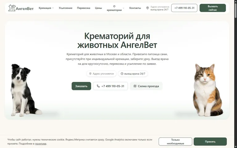 Главная страница АнгелВет